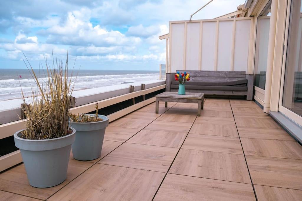 Kraaiennest Apartment Egmond aan Zee Exterior foto