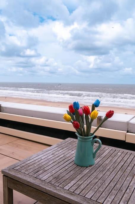 Kraaiennest Apartment Egmond aan Zee Exterior foto