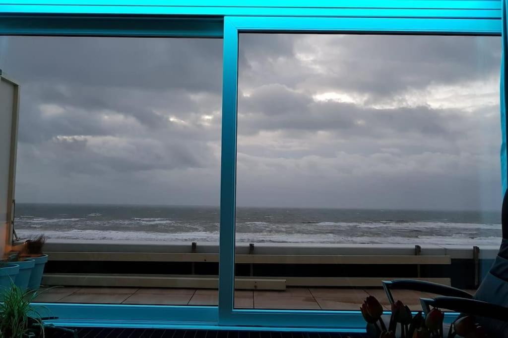 Kraaiennest Apartment Egmond aan Zee Exterior foto